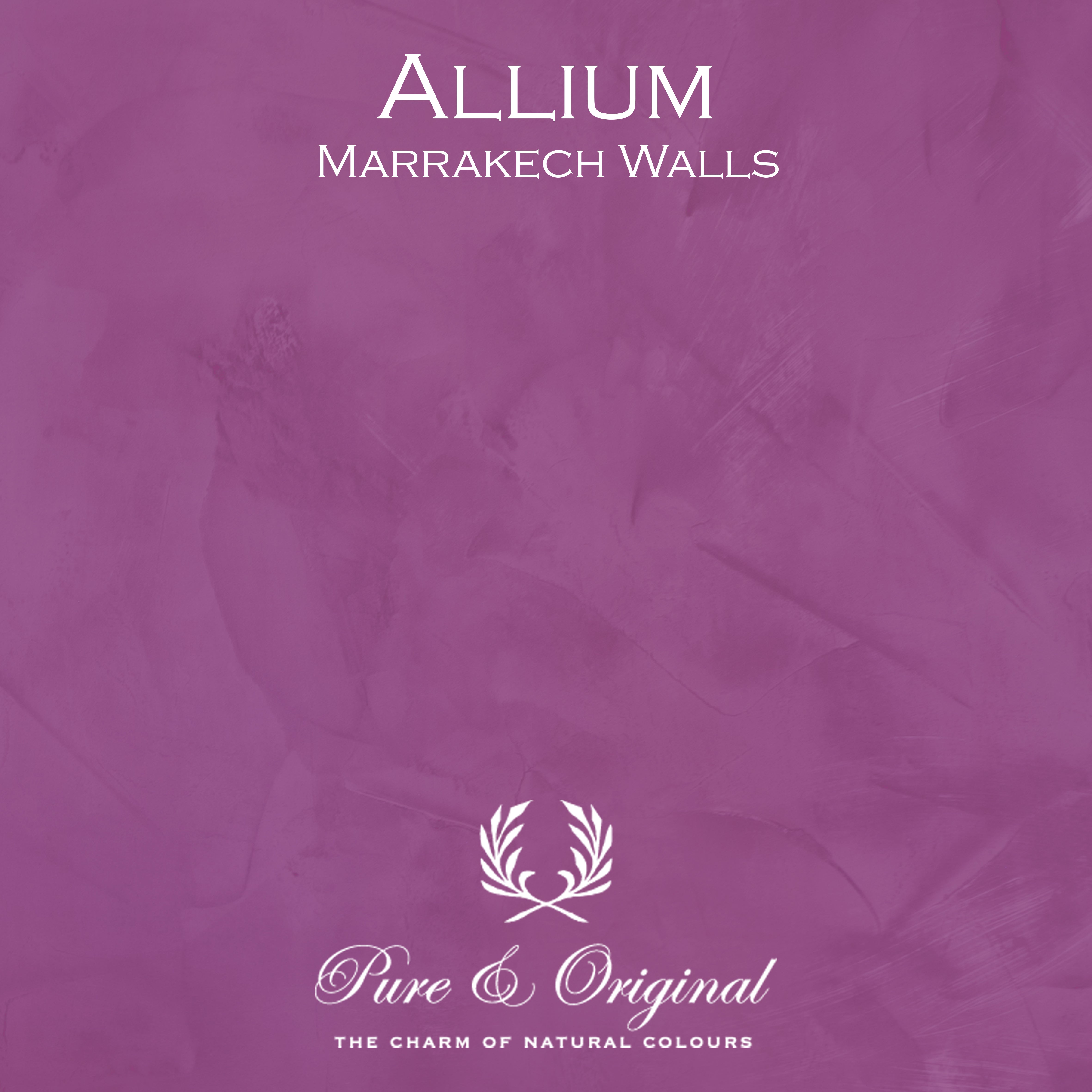 Marrakech Walls "Allium"