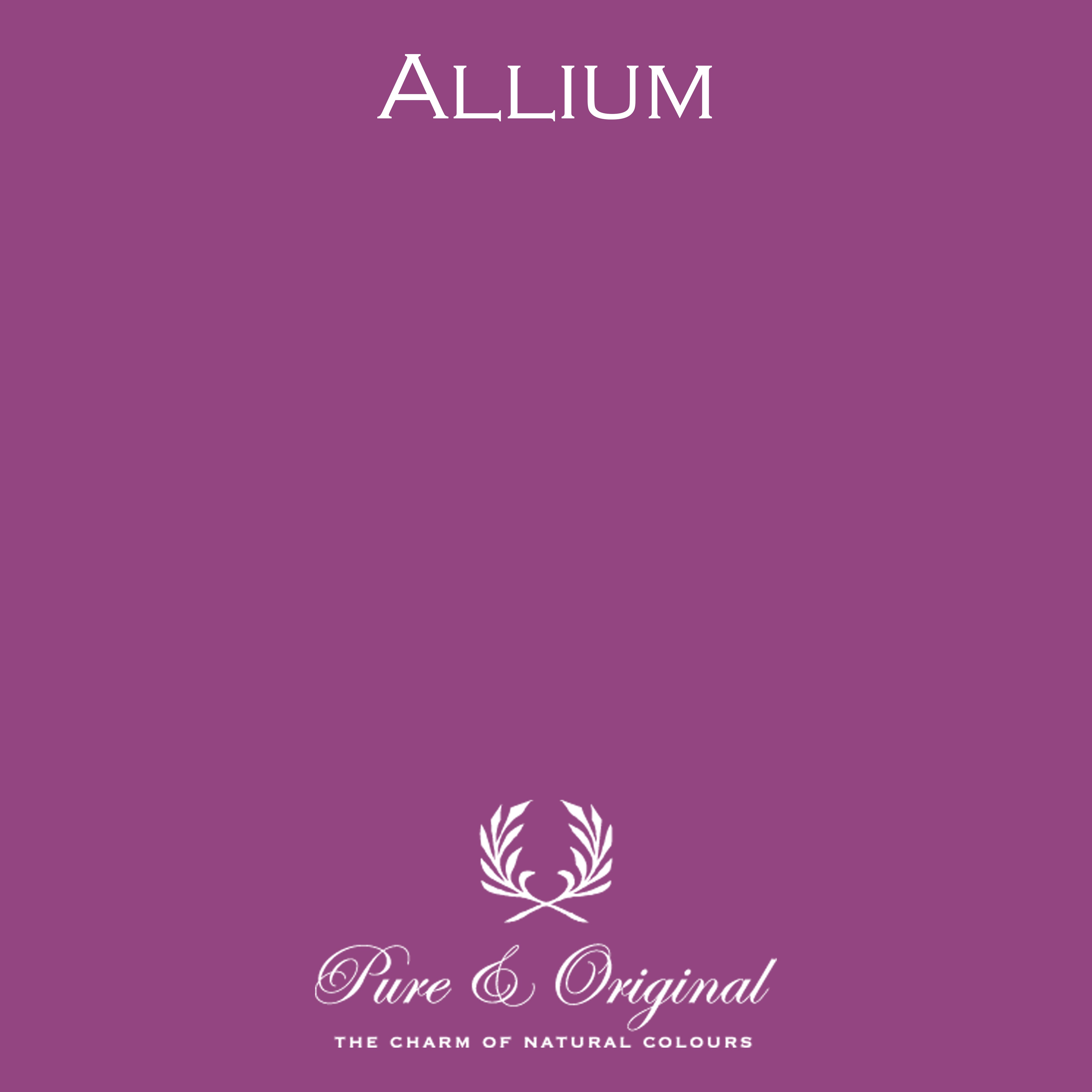 Classico Kreidefarbe "Allium"