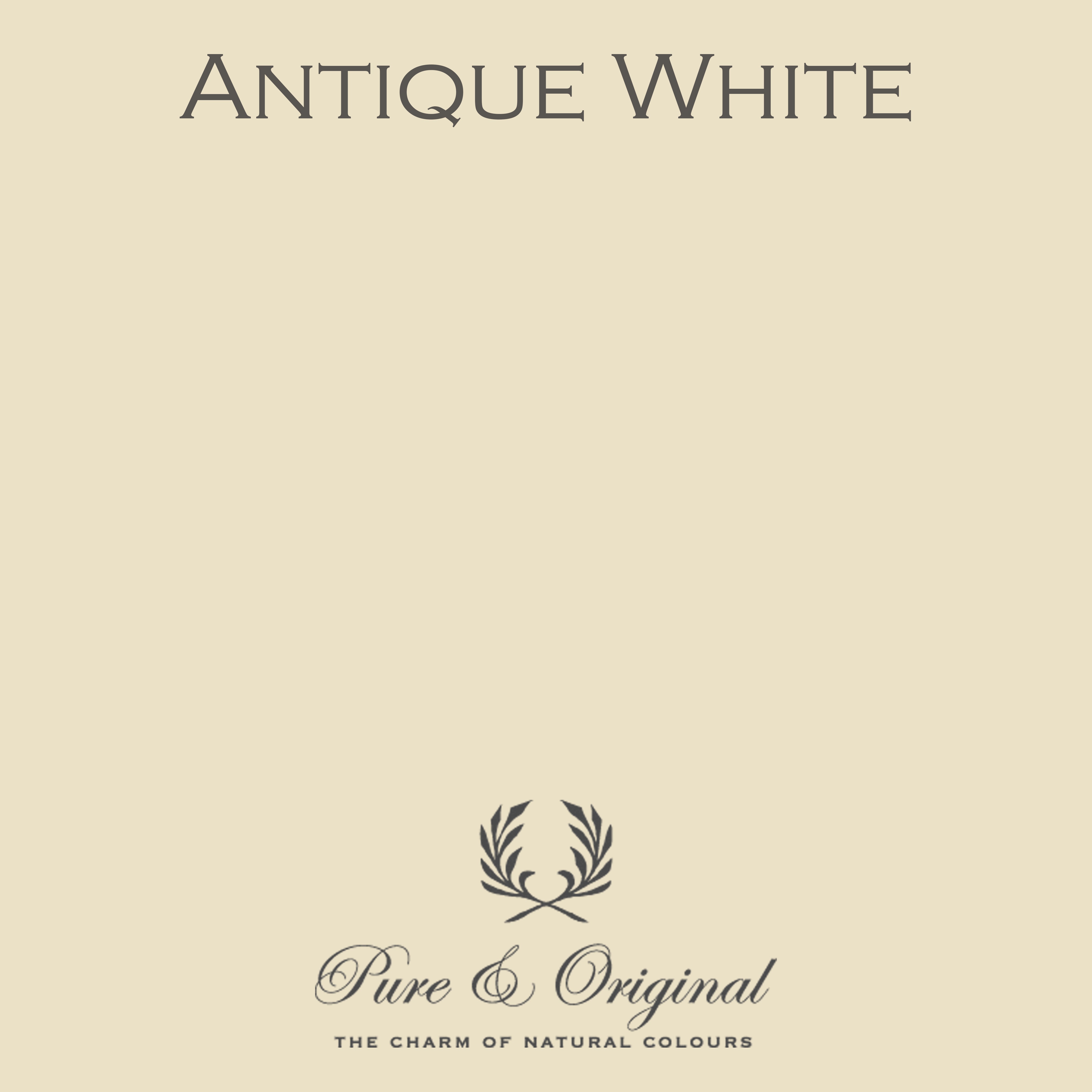 Traditional Paint Eggshell "Antique White"