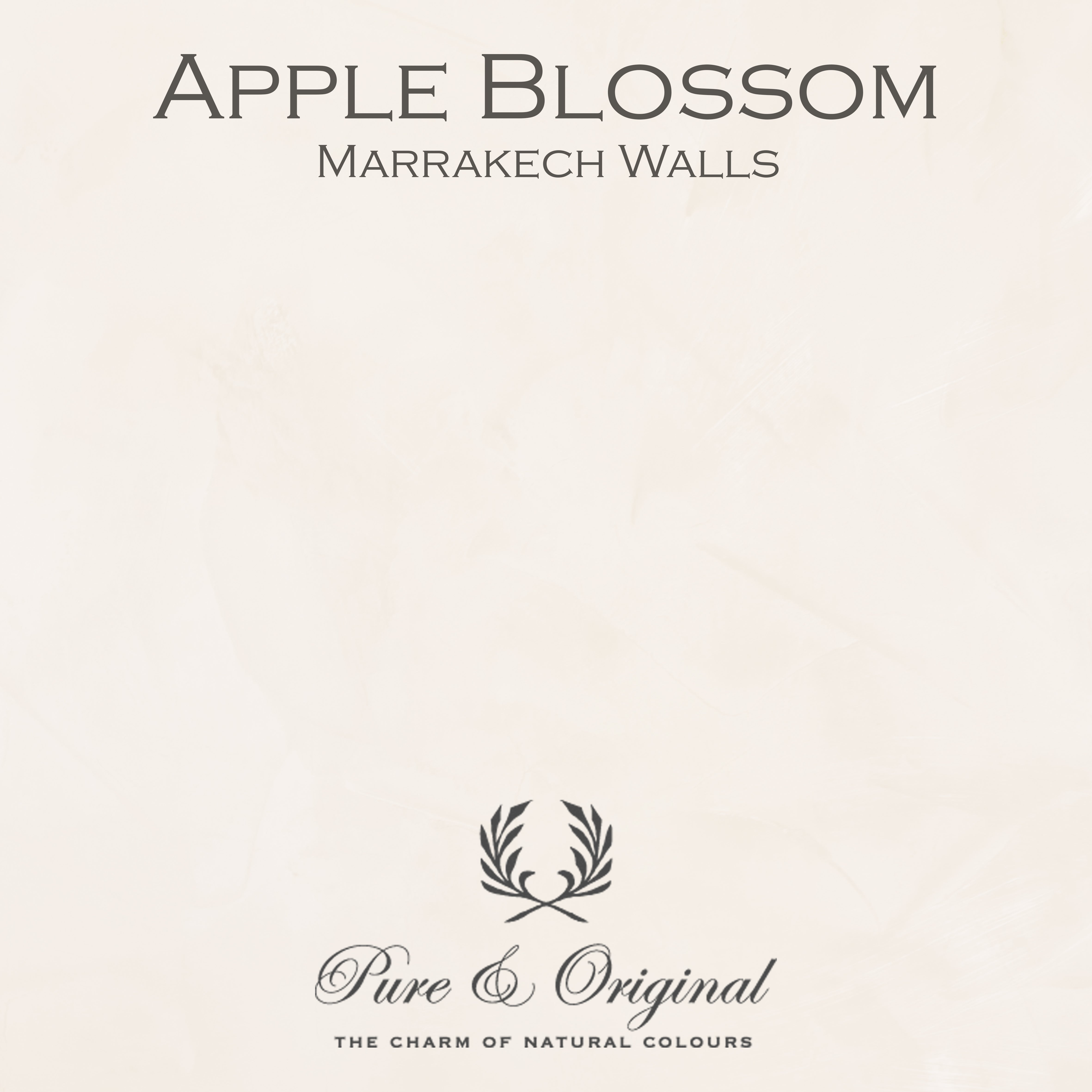 Marrakech Walls "Apple Blossom"