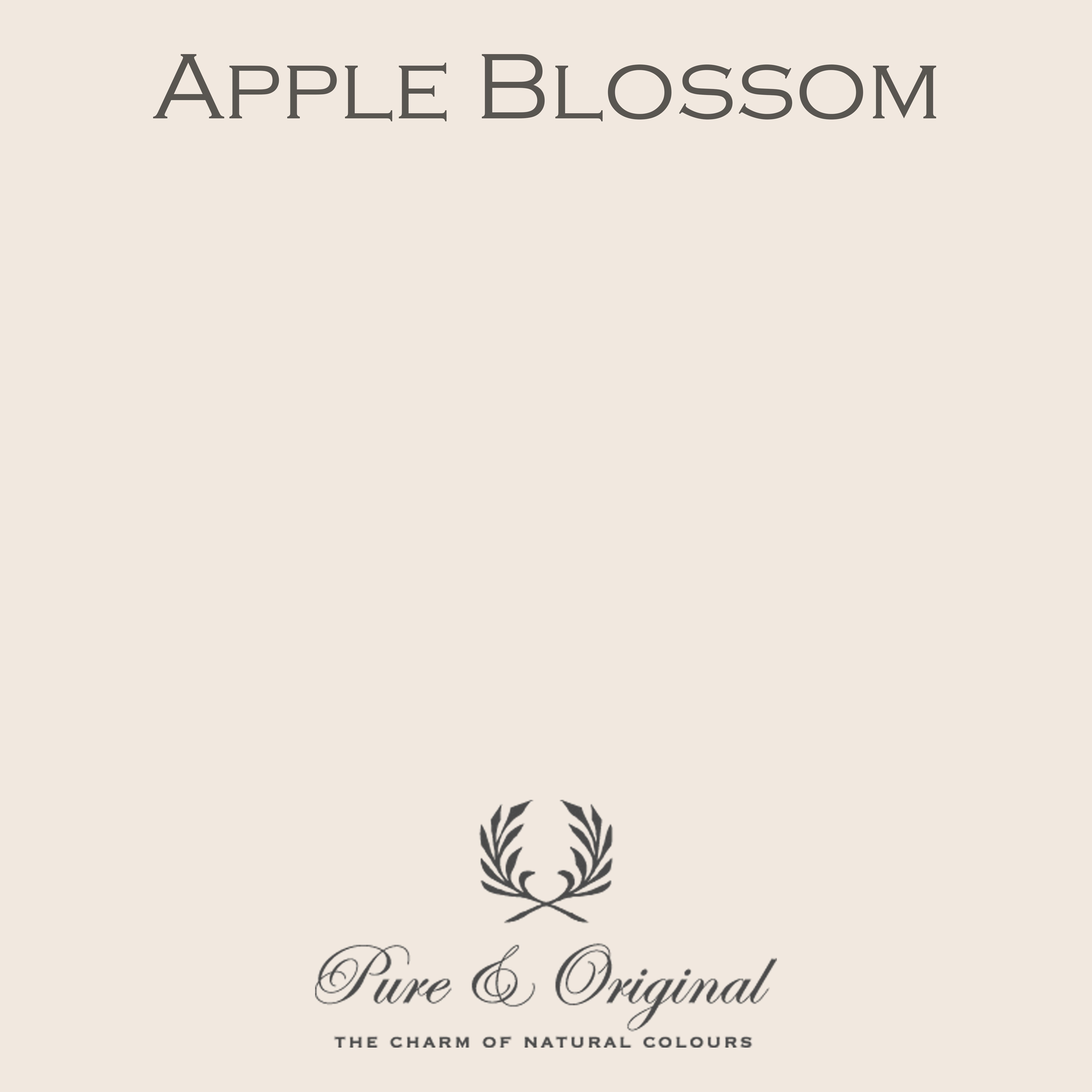 Classico Kreidefarbe "Apple Blossom"