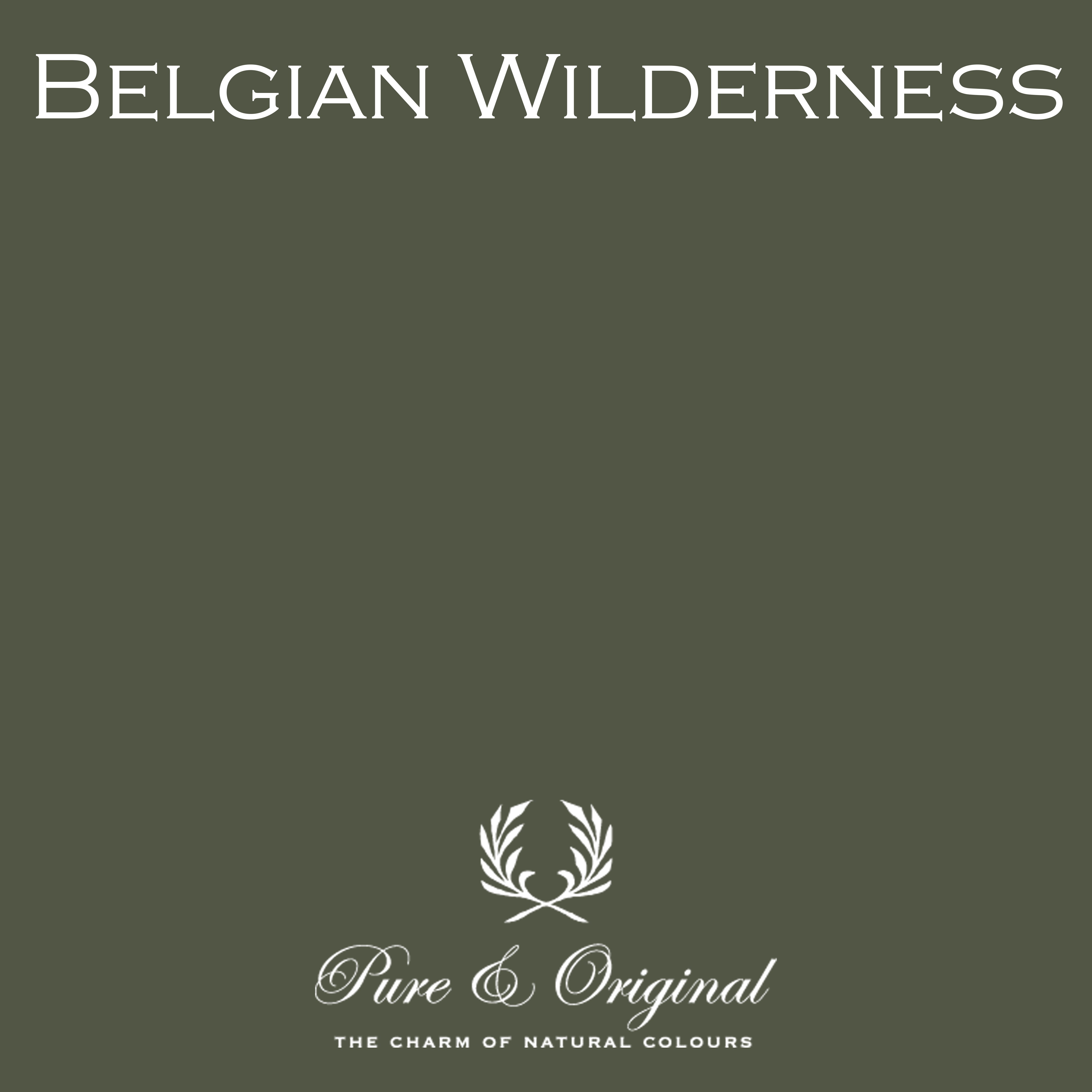 Classico Kreidefarbe "Belgian Wilderness"