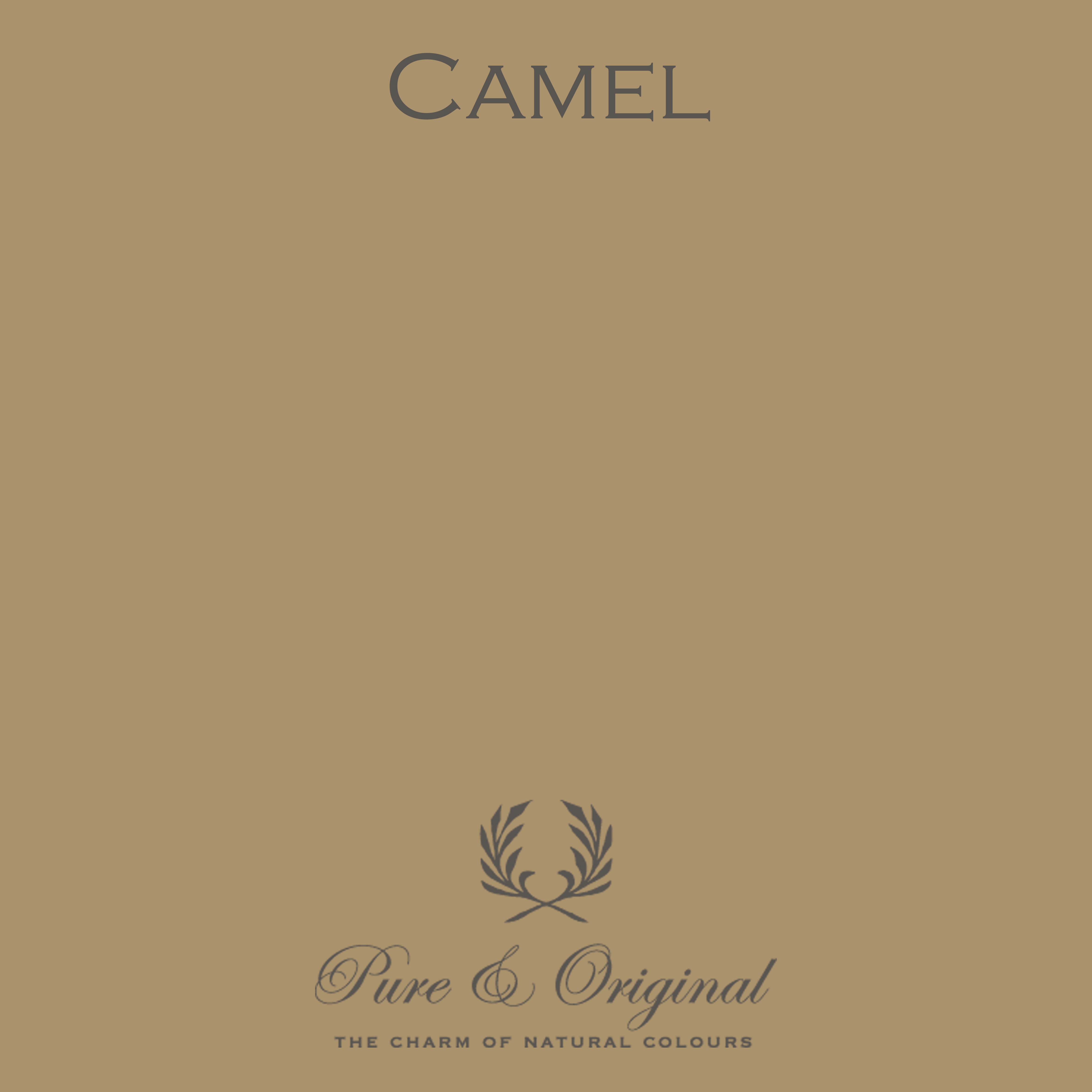 Traditional Paint Eggshell "Camel"
