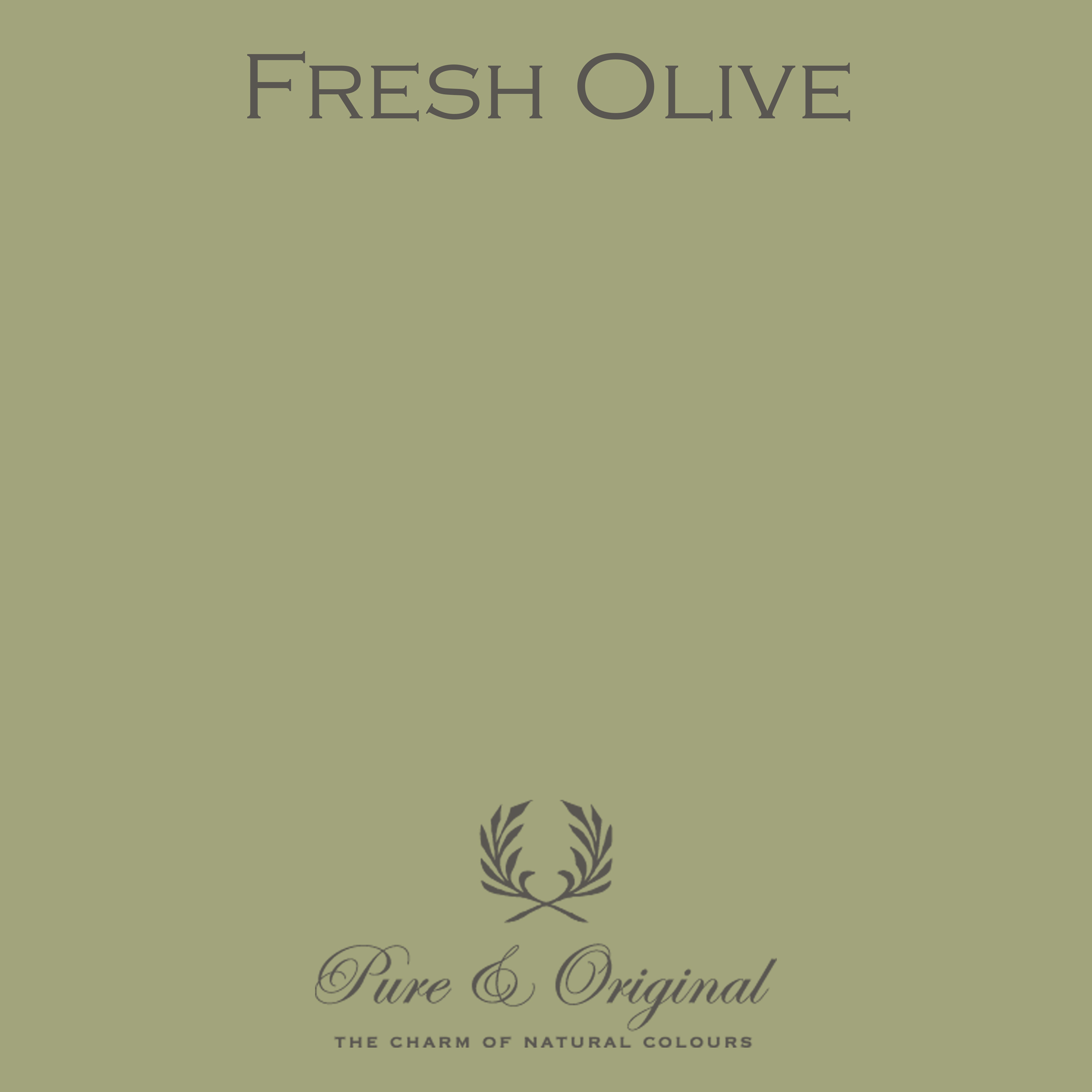 Classico Kreidefarbe "Fresh Olive"