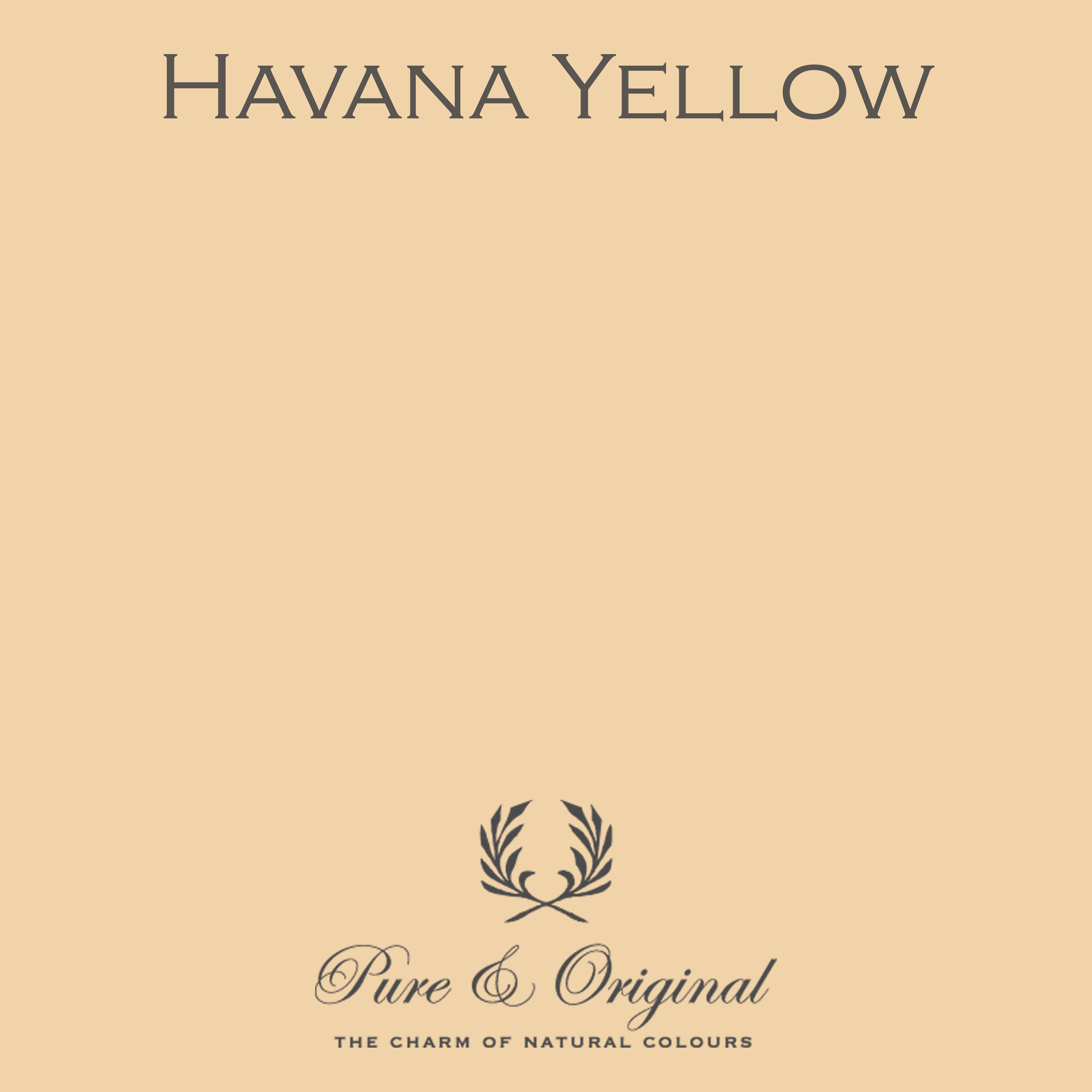 Classico Kreidefarbe "Havana Yellow"