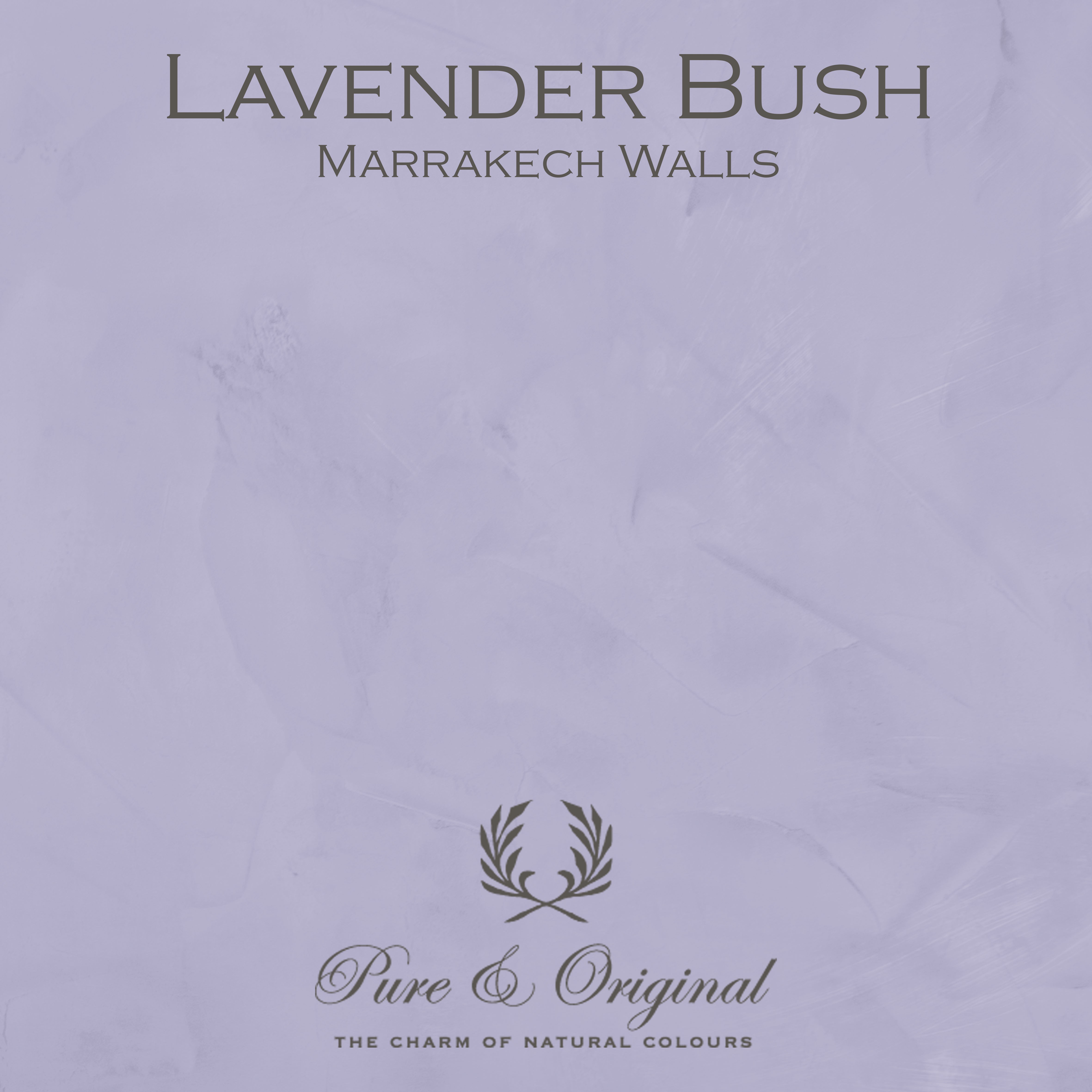 Marrakech Walls "Lavender Bush"