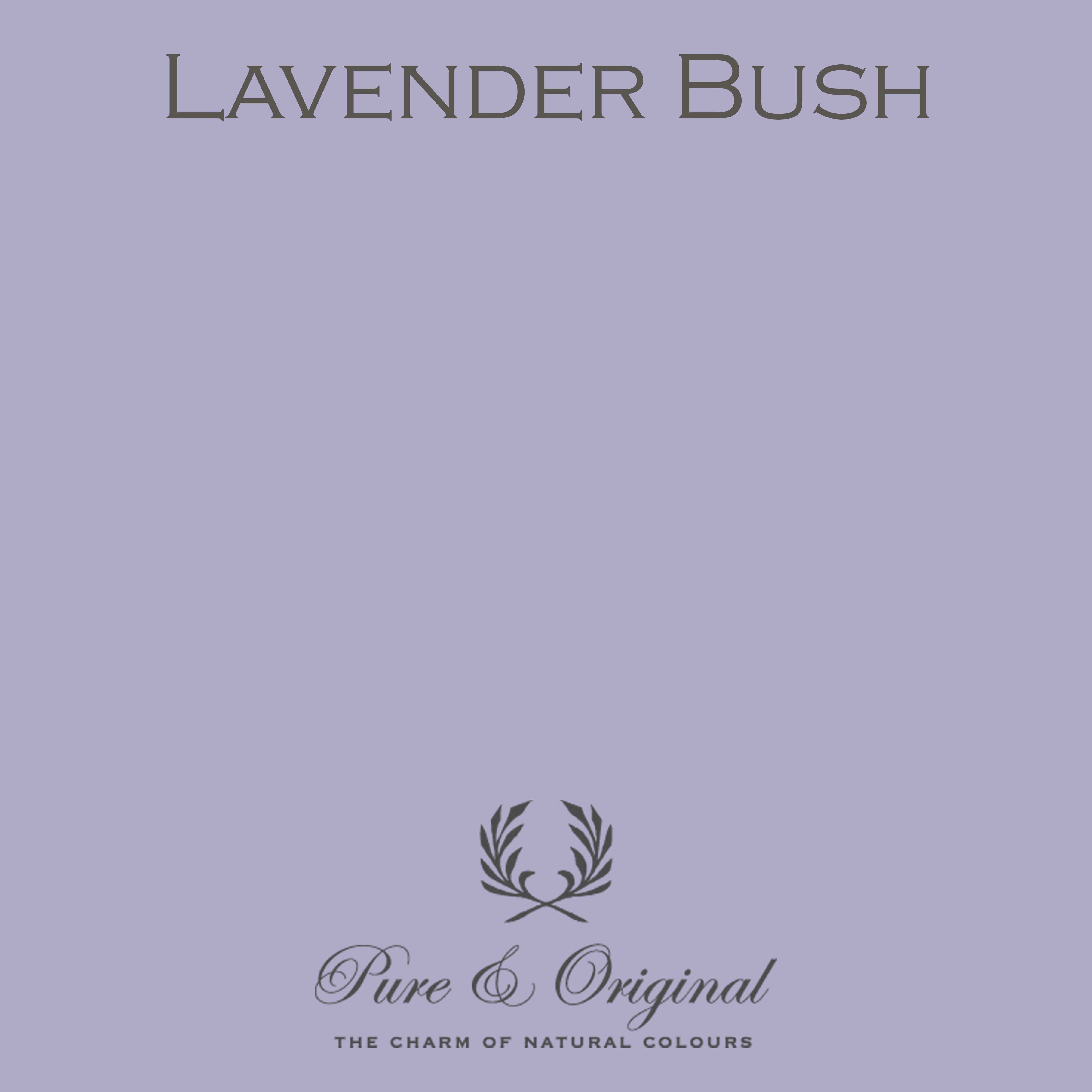 Classico Kreidefarbe "Lavender Bush"