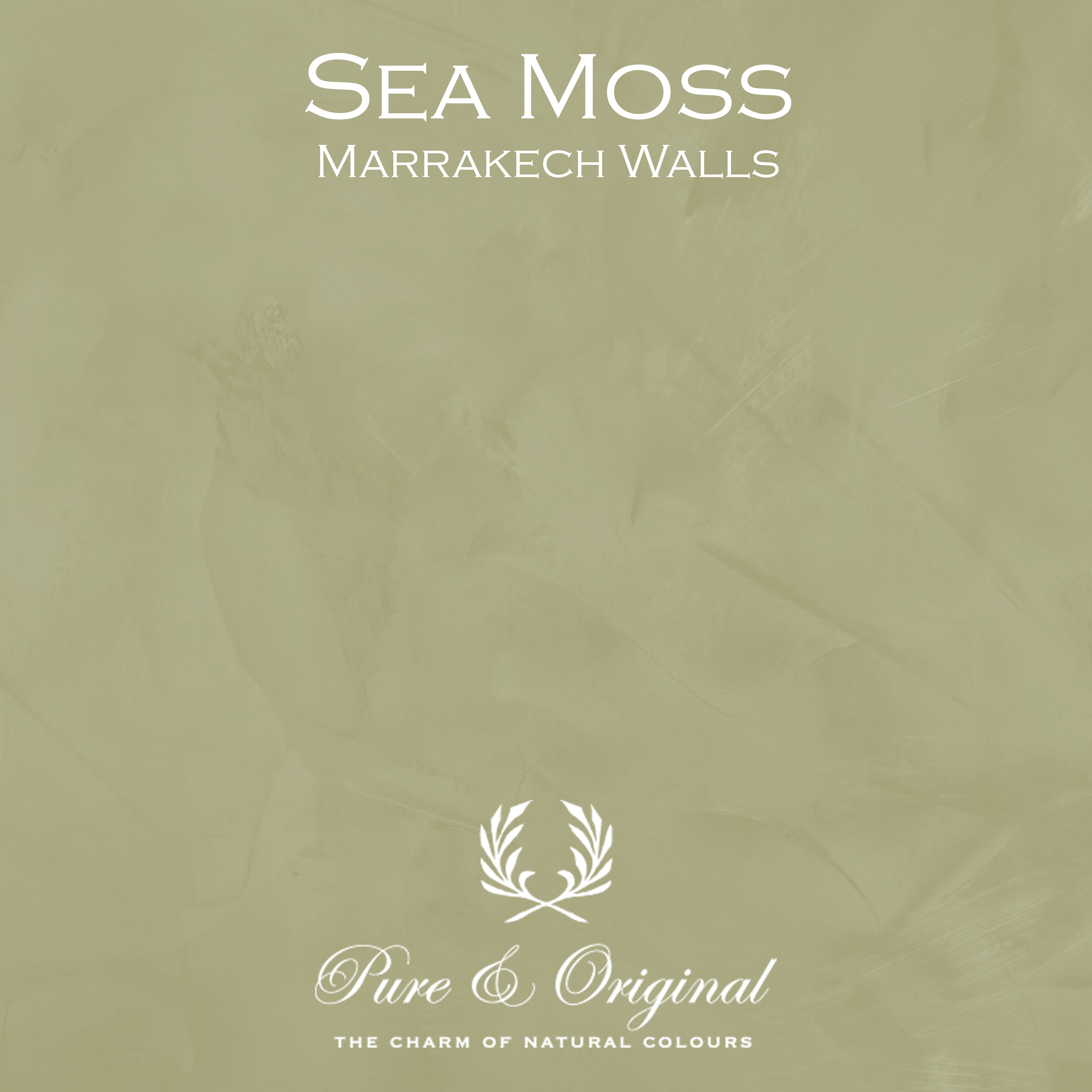 Marrakech Walls "Sea Moss"