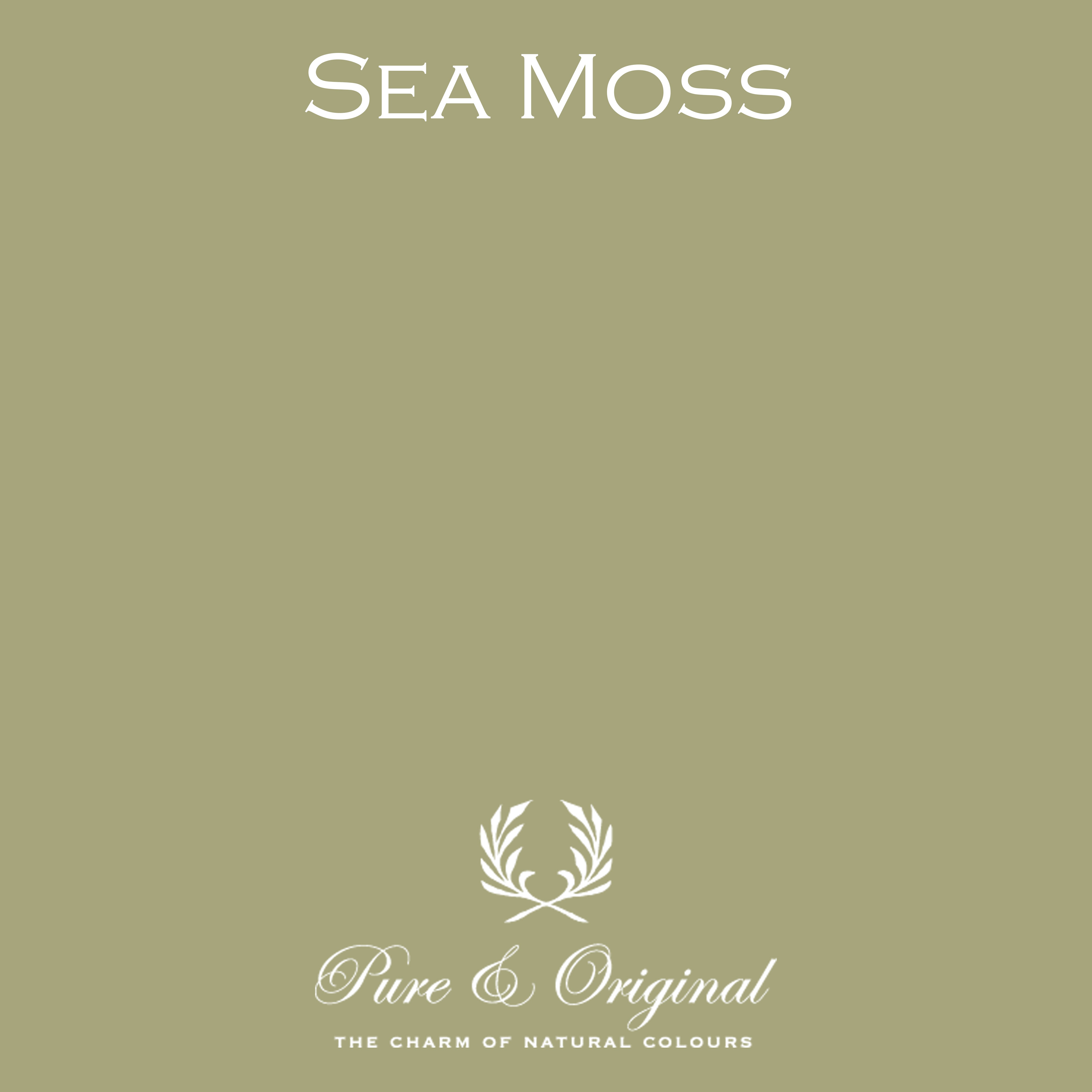 Classico Kreidefarbe "Sea Moss"