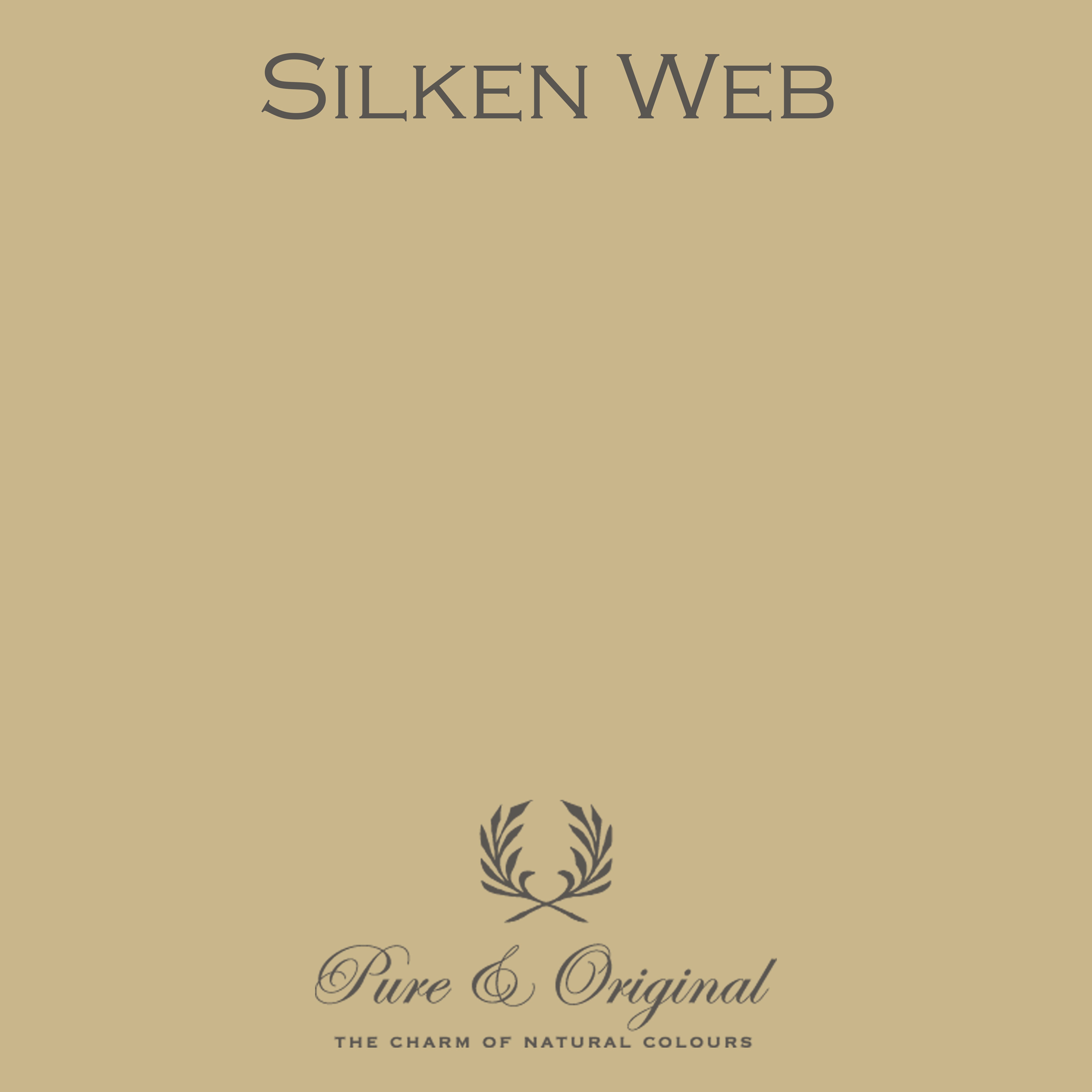 Classico Kreidefarbe "Silken Web"