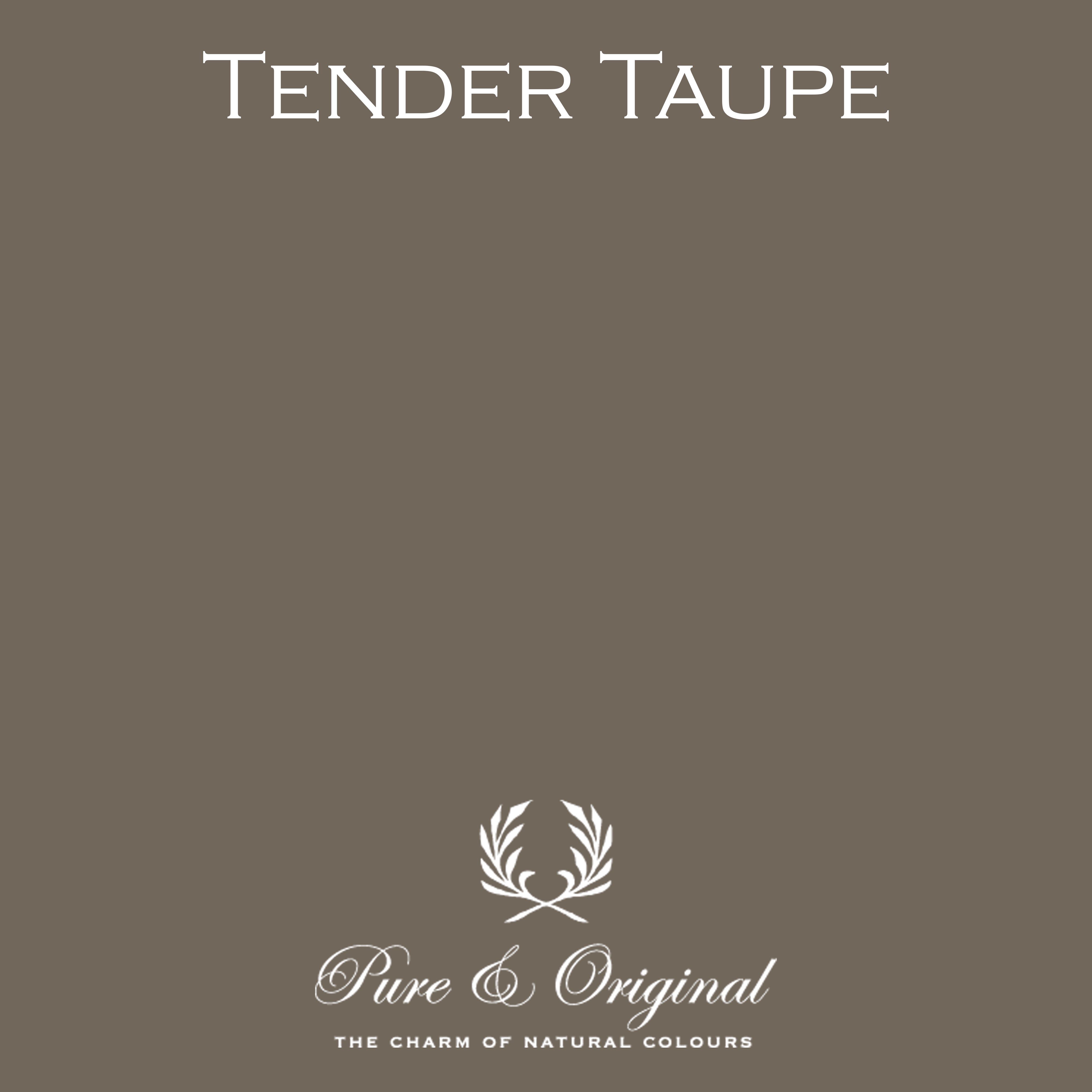 Traditional Paint Eggshell "Tender Taupe"
