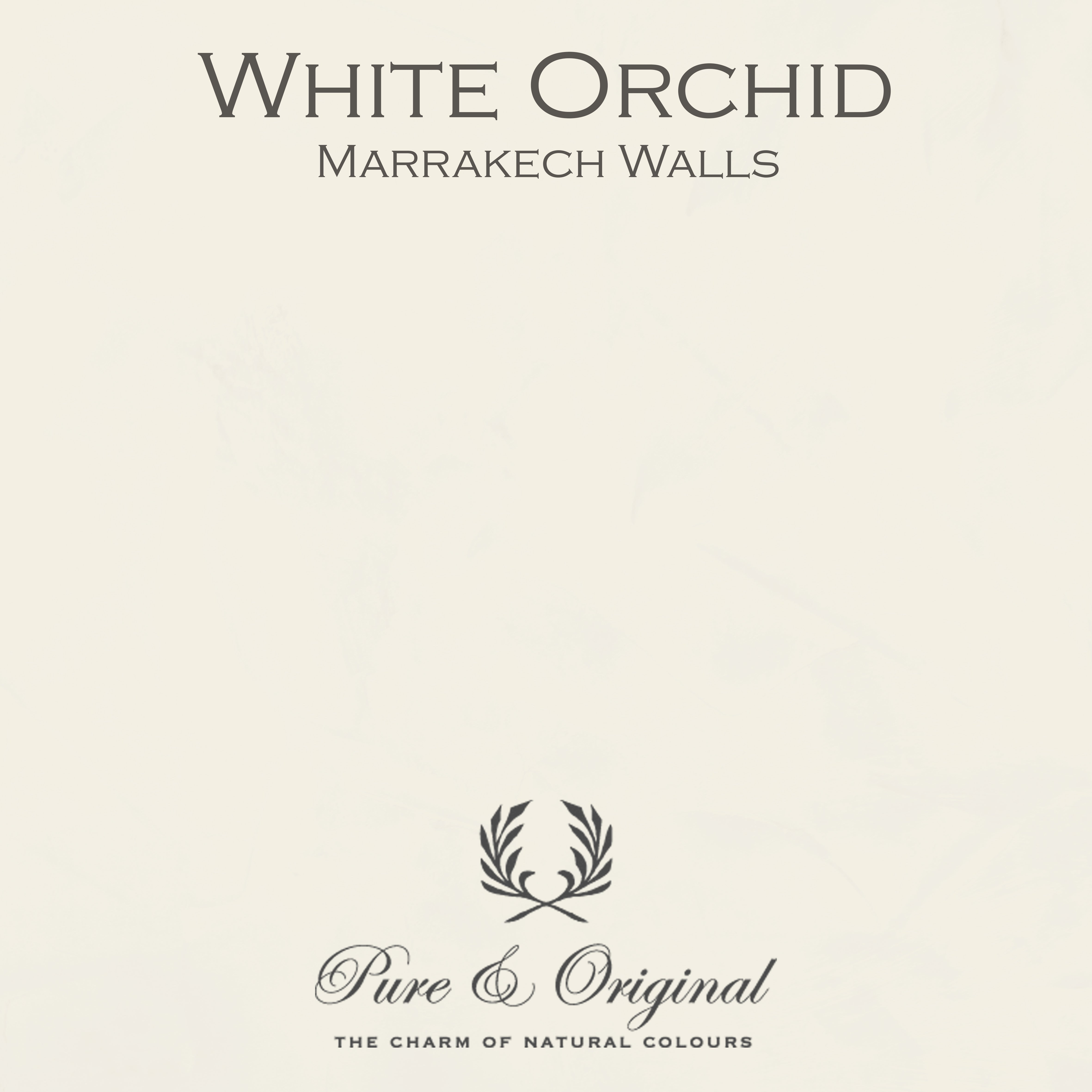 Marrakech Walls "White Orchid"