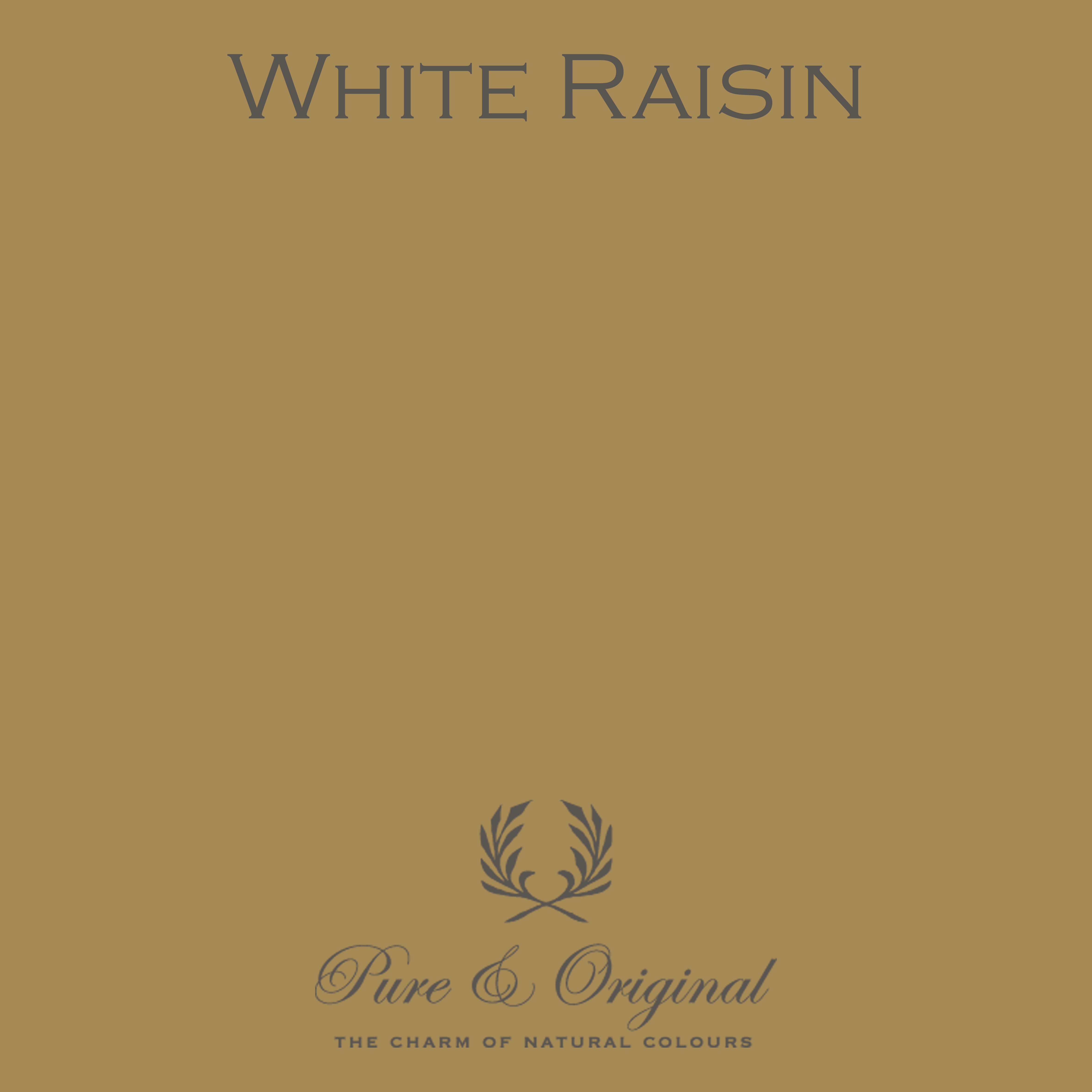 Wall Prim "White Raisin"