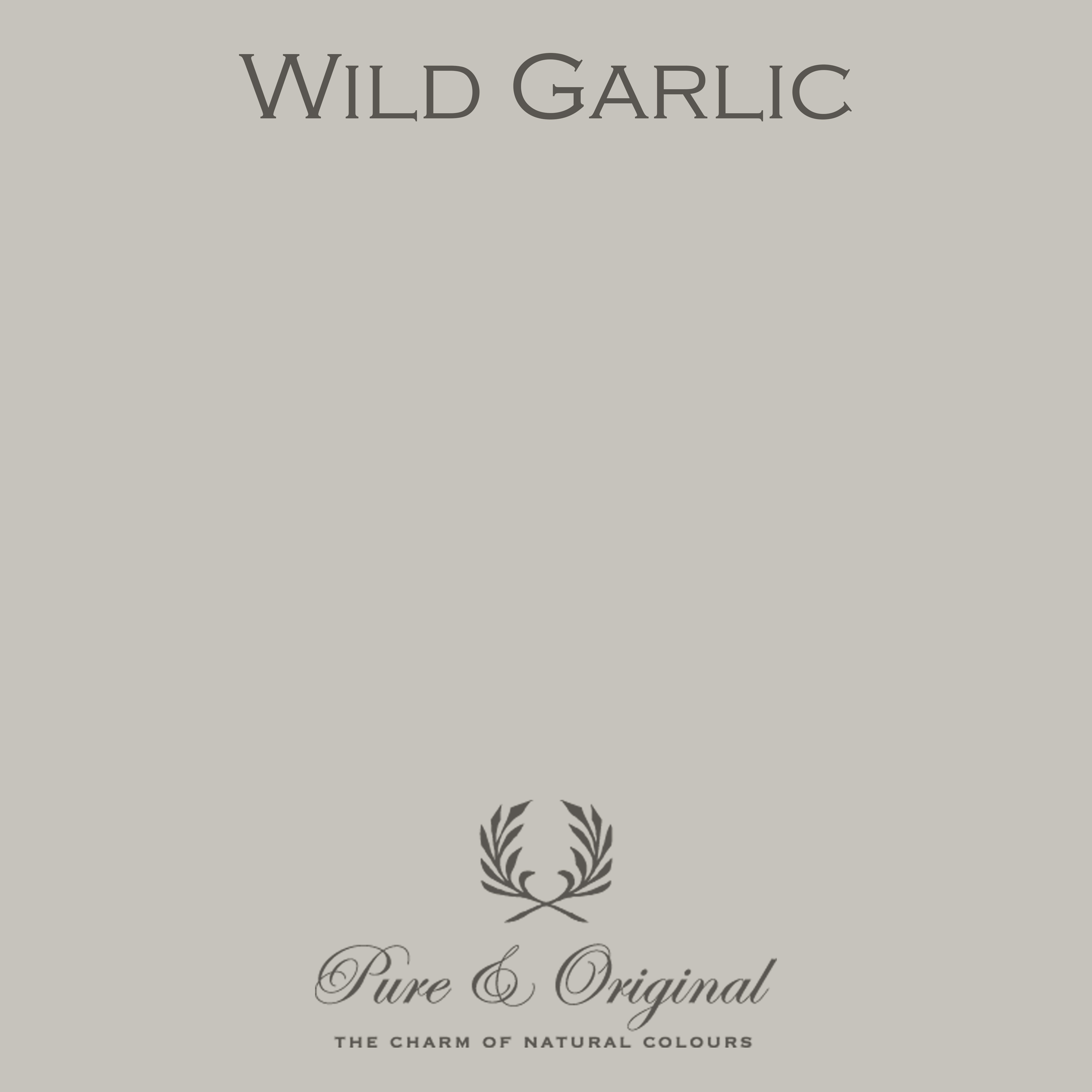 Classico Kreidefarbe "Wild Garlic"